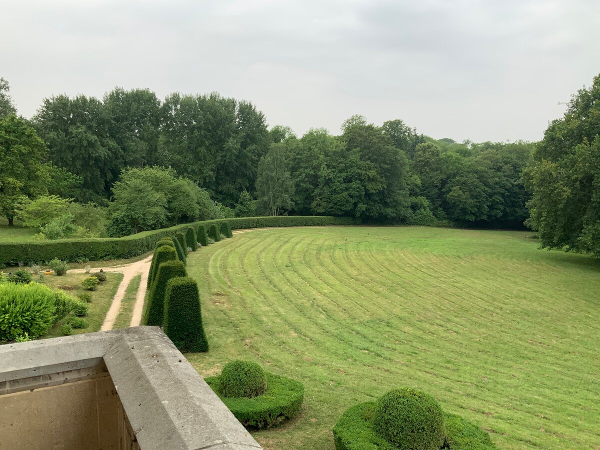 Castle in paris with huge parc