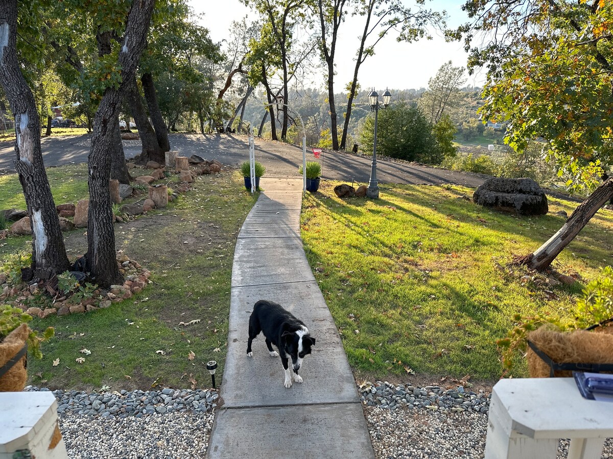 Little White Tiny House Chico/Paradise Farm Stay