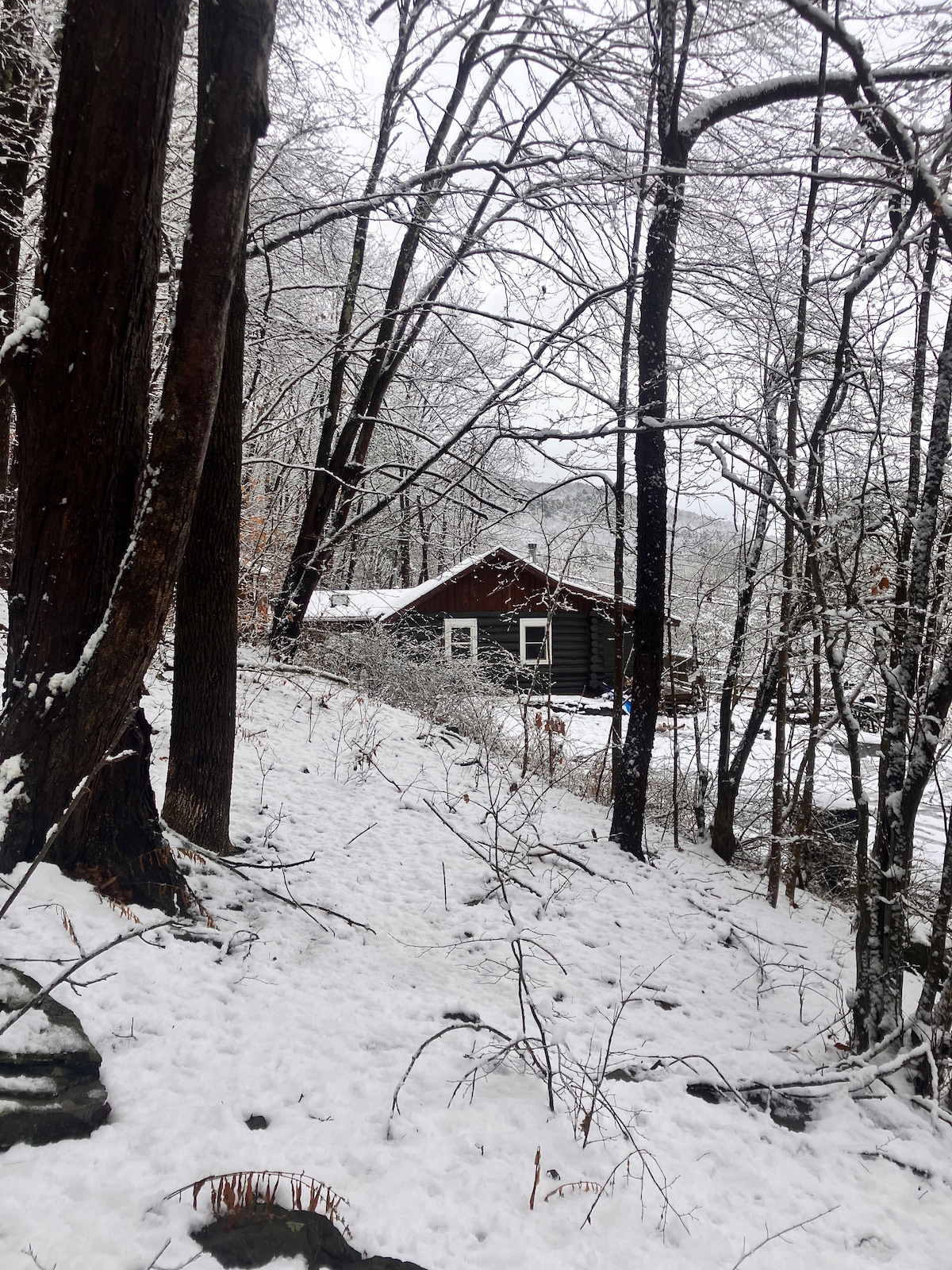 Arkville Chalet-log cabin with wood stove and view