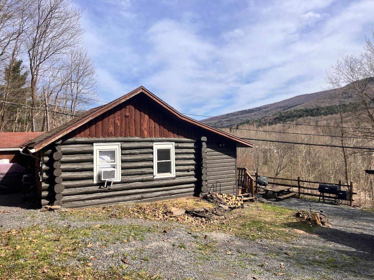 Arkville Chalet-log cabin with wood stove and view