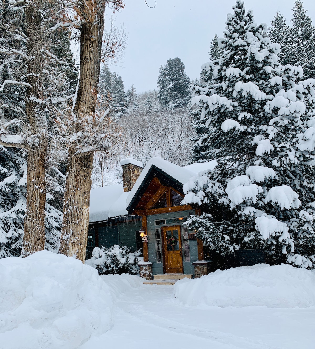 In the Canyon Retreat -  Cabin Home with hot tub