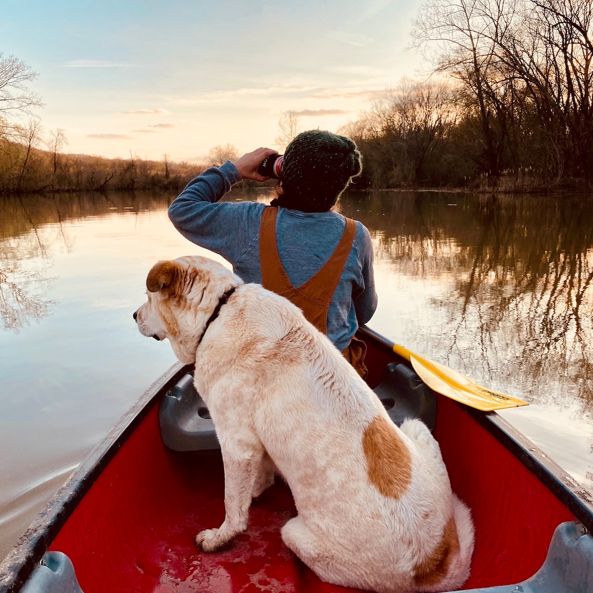 位于哈佩斯河（ Harpeth River ）的农家乐，设有小木屋和独木舟！