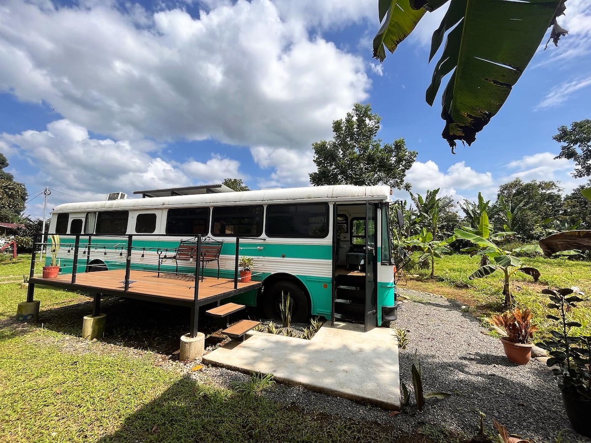 The Parking Lot - La Fortuna