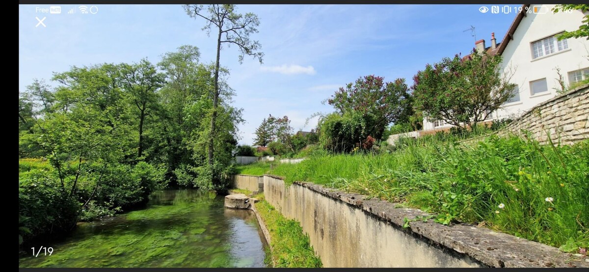 The house by the river