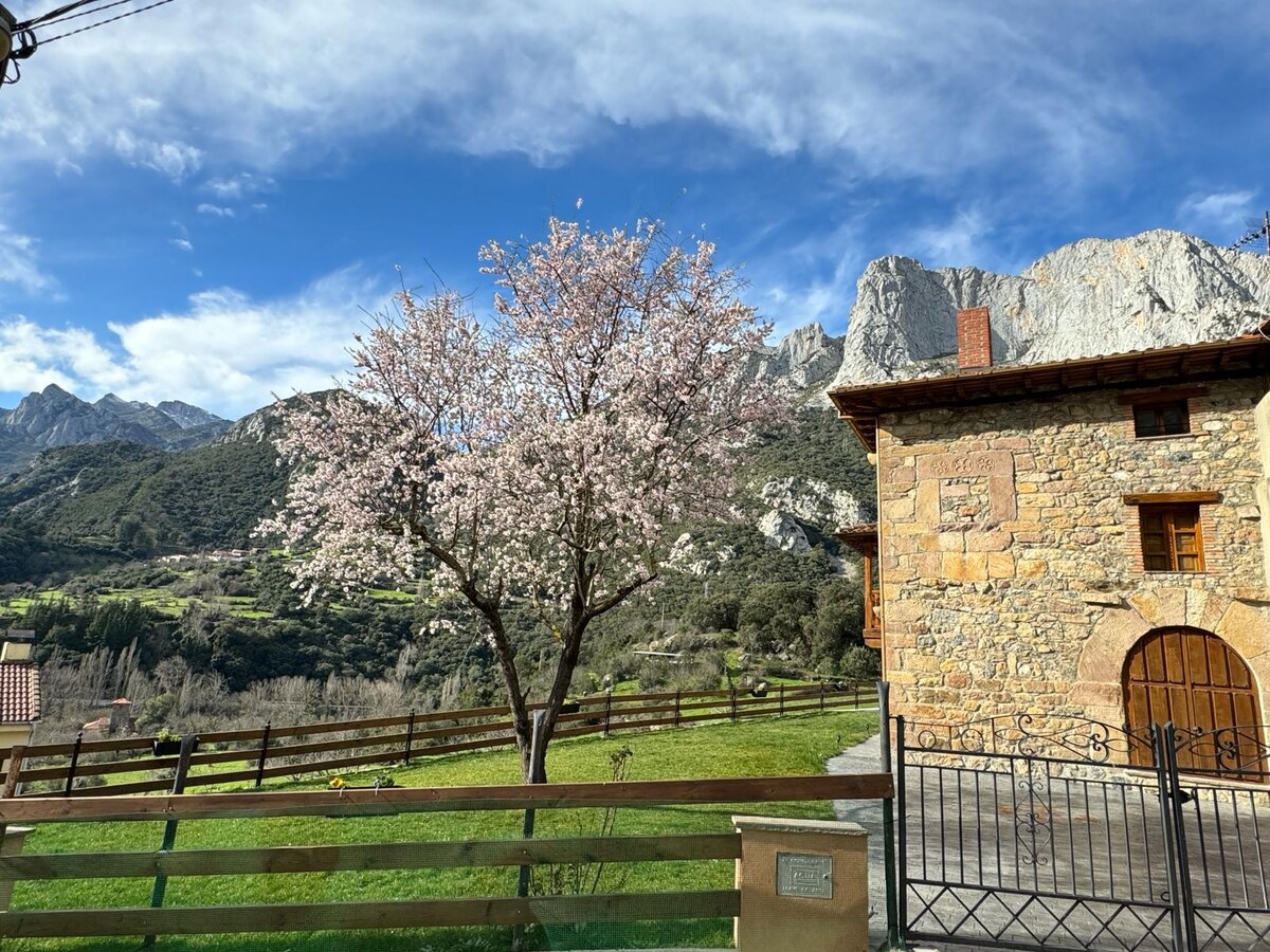 Casa Maribel ， Lebeña Picos de Europa乡村小屋