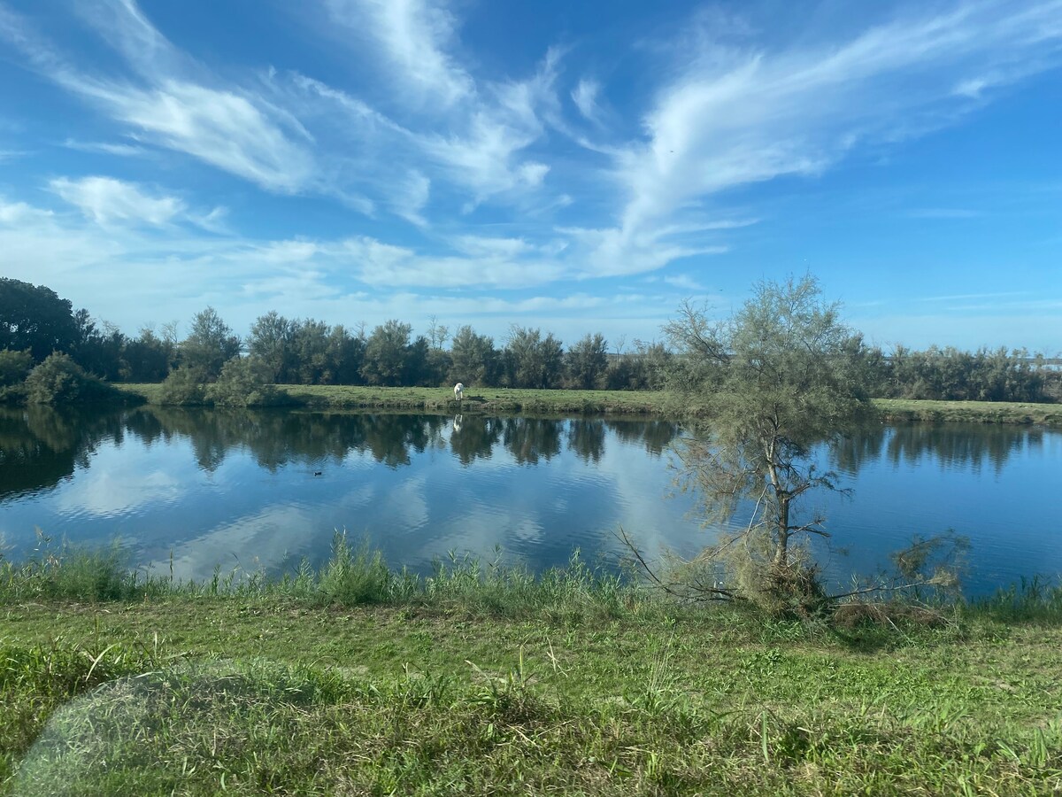 Appartamento Gio’  lido estensi