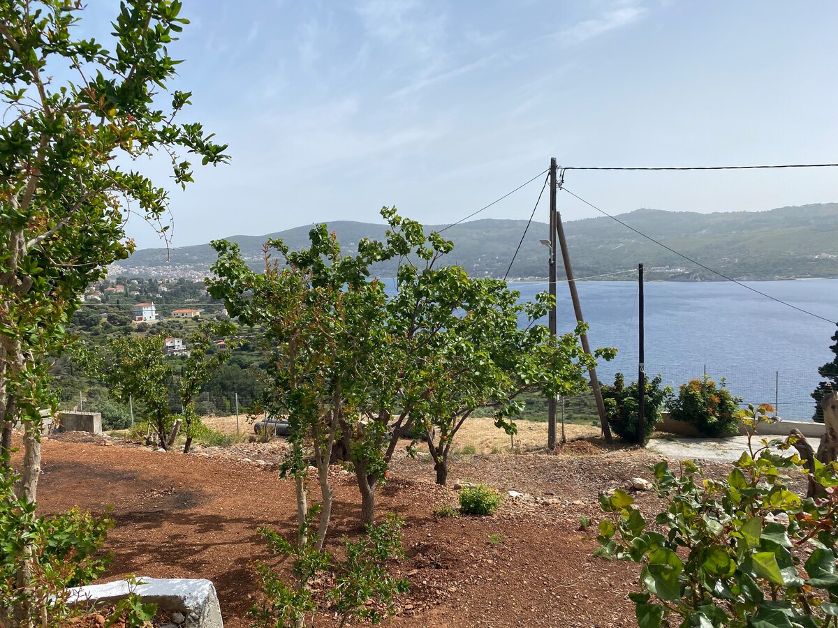 Quantum Homes - A2 - Amazing Seaview in Samos Town