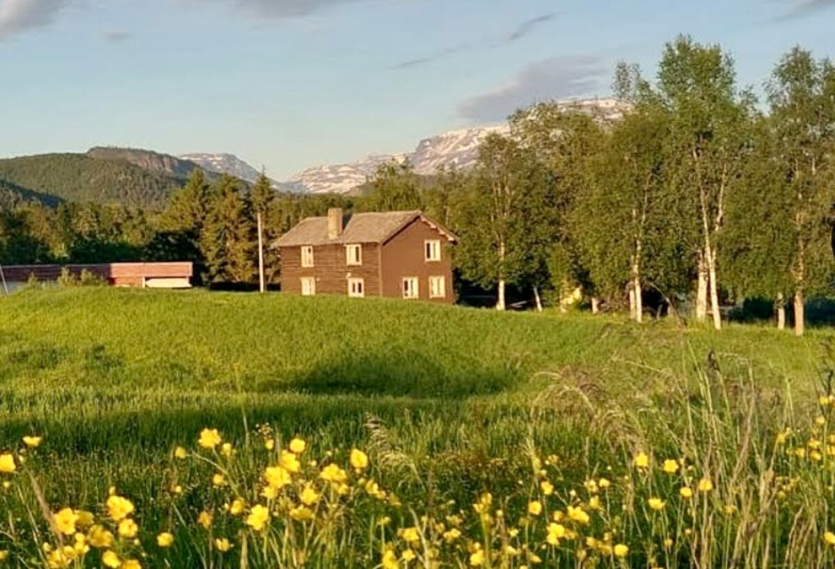 Comfy farmhouse with a view!