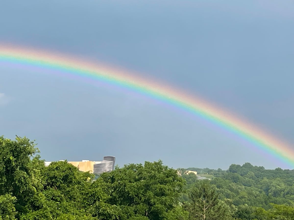 View of Ark From Patio - Joseph’s Pointe