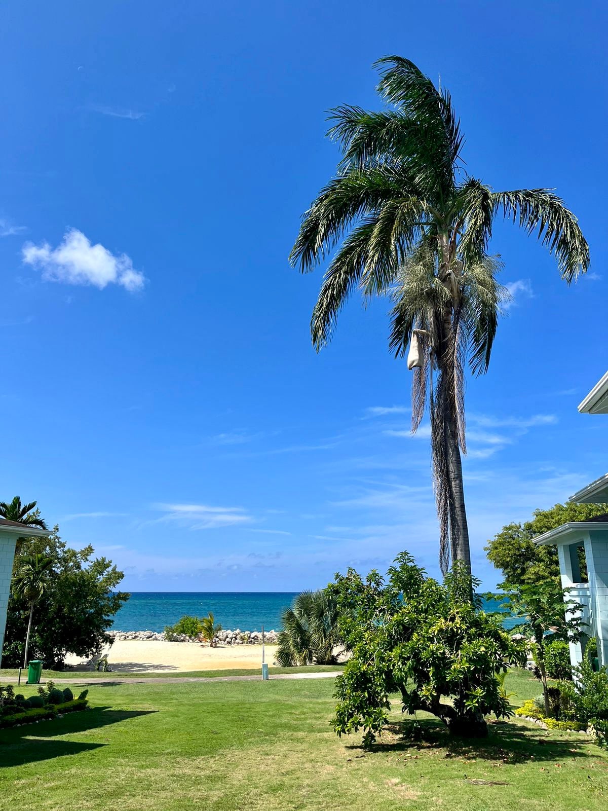 New Beach front villa in Point Village Negril