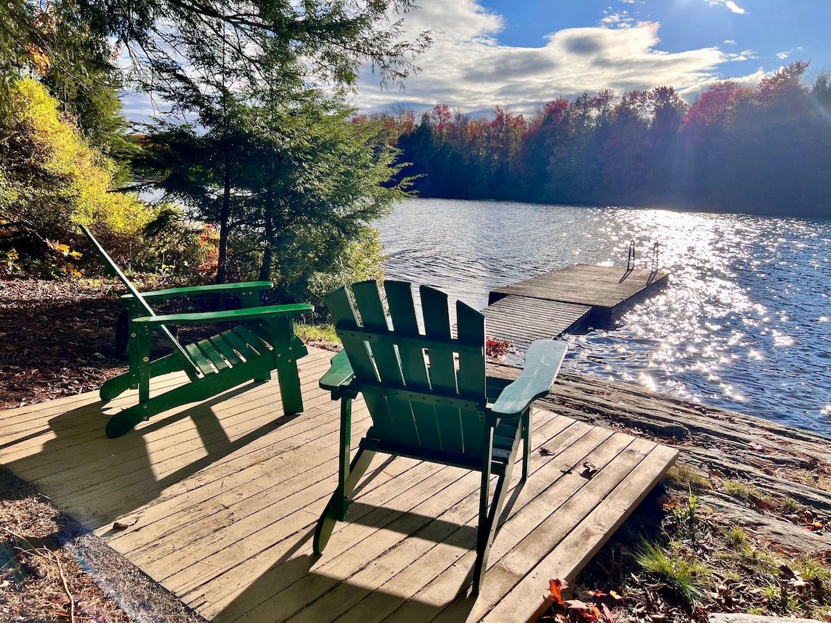 Muskoka Lakefront Loghaus -家庭小屋（新）