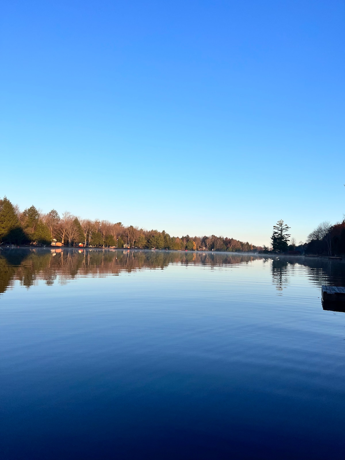 Muskoka Lakefront Loghaus -家庭小屋（新）