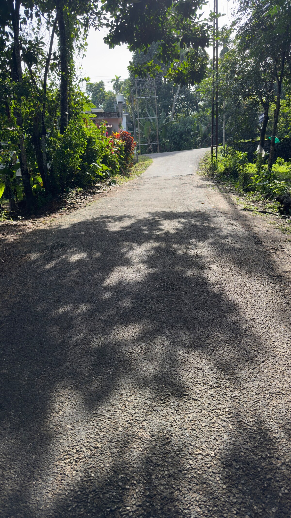 现代别墅（ Ushas ） ，位于Gods Own Country ， Mezhuveli