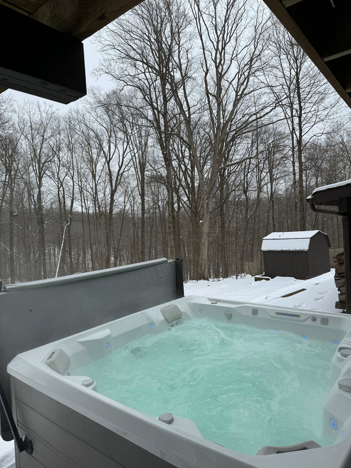 Seneca Lake Cabin - Entire House