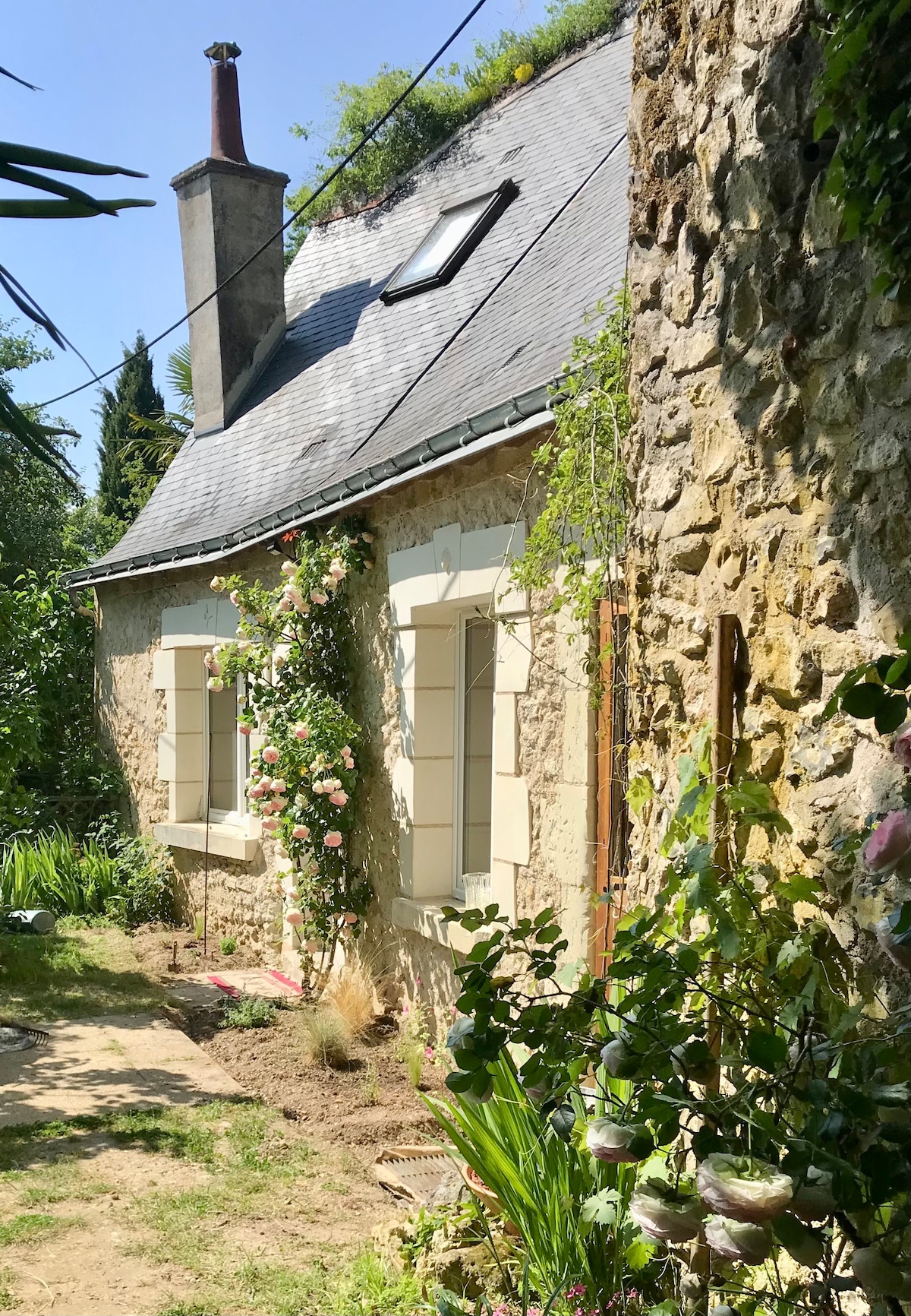 Le Grenouillet -Joli logement semi-troglodytique