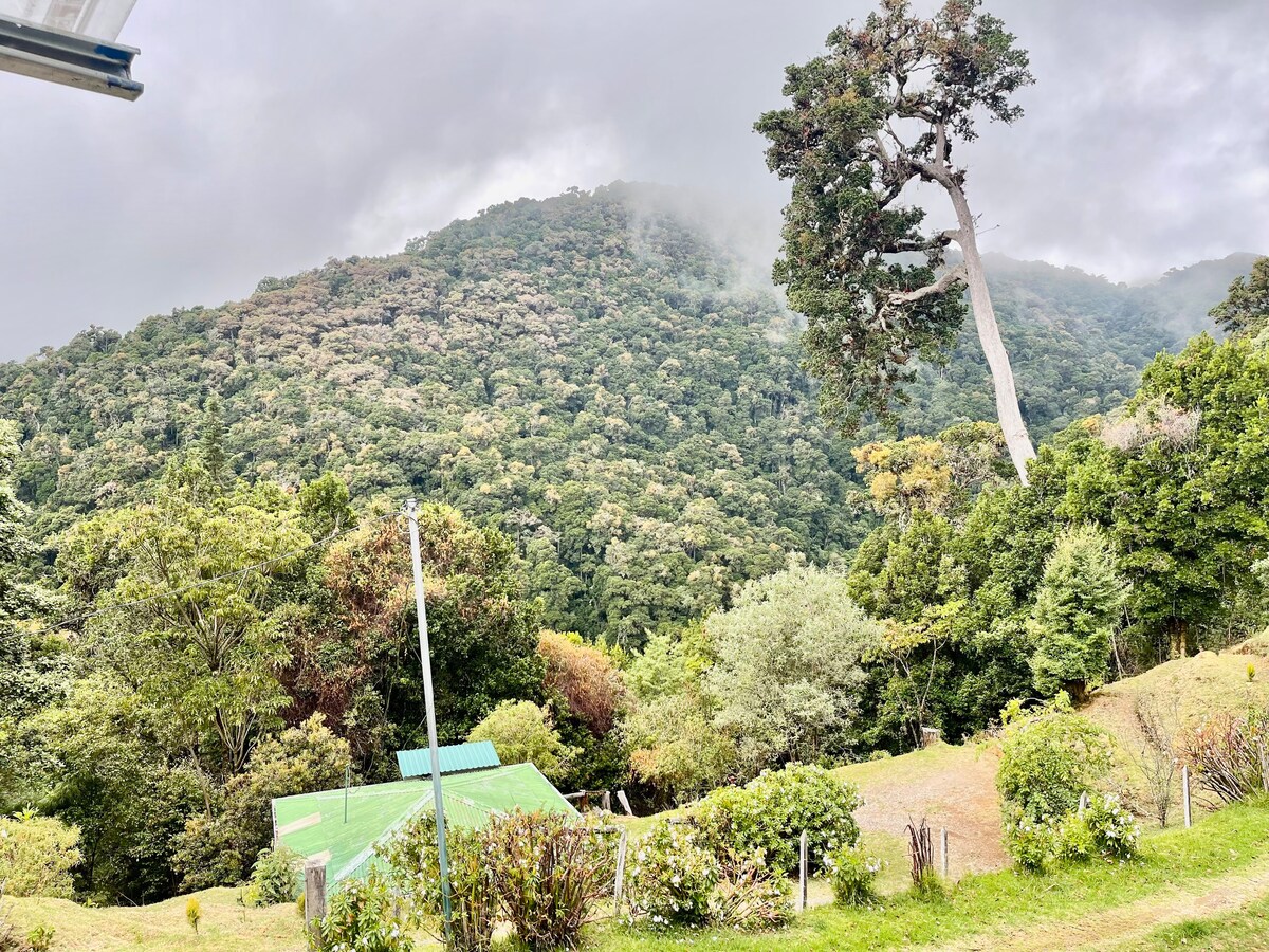 Nac quetzales Park的最佳景观