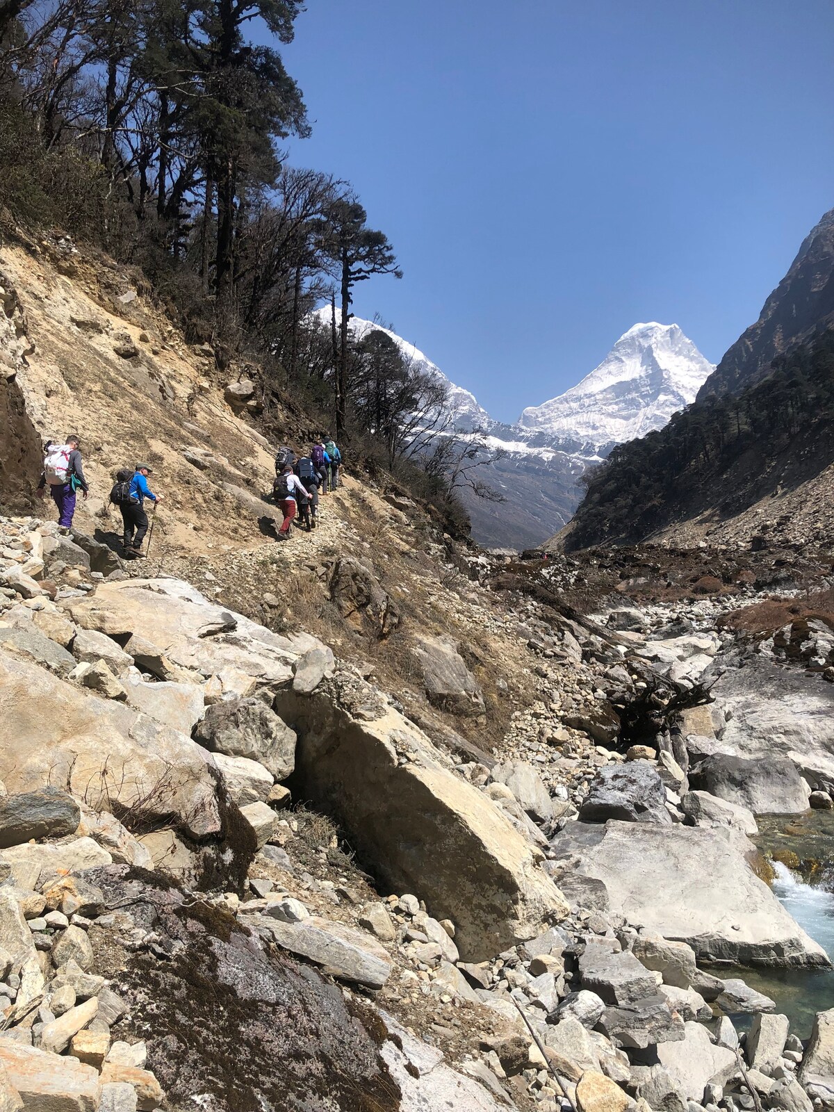We organize all Nepal trek.