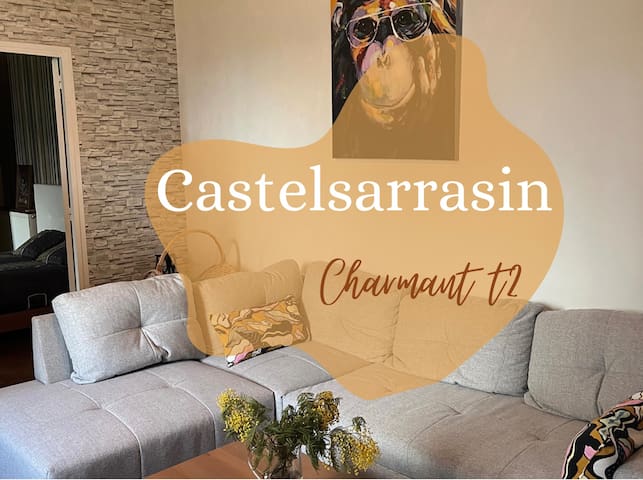 Castelsarrasin的民宿