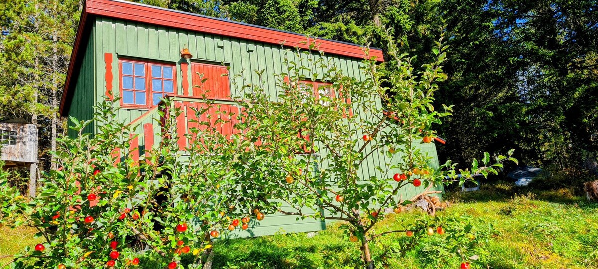 Lakeside Cabin Retreat-only 55 min from Trondheim!