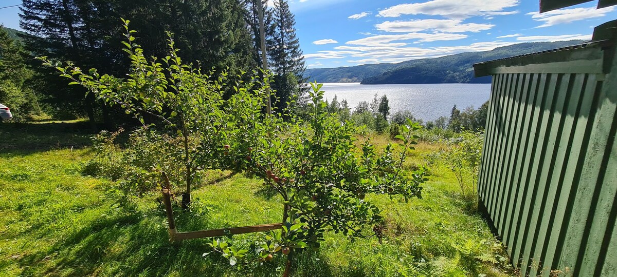 Lakeside Cabin Retreat-only 55 min from Trondheim!