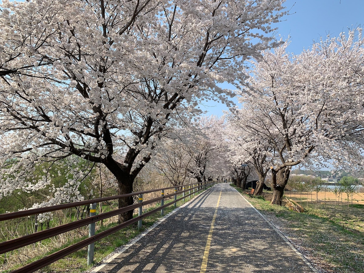 南汉河步道（ Namhan River Trail ）的舒适空间