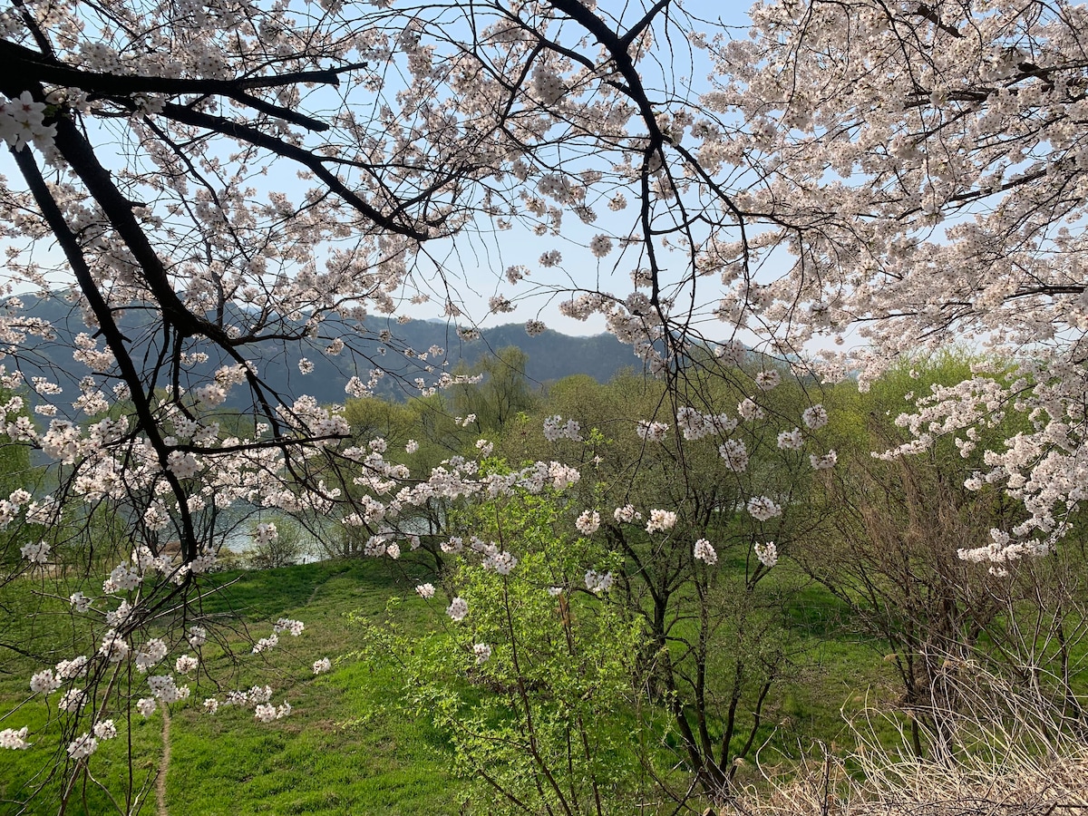 南汉河步道（ Namhan River Trail ）的舒适空间