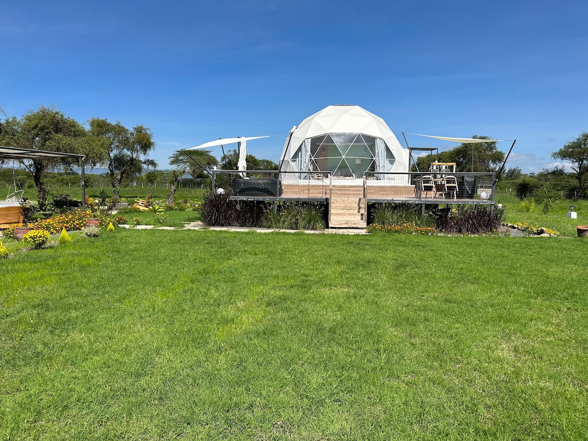 Kapiti Glamping Dome