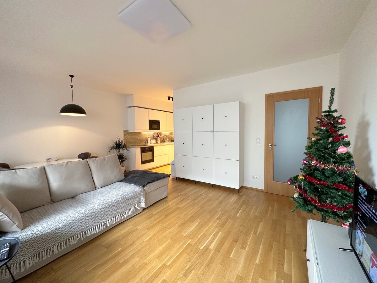 Apartment with Free Parking in Prague