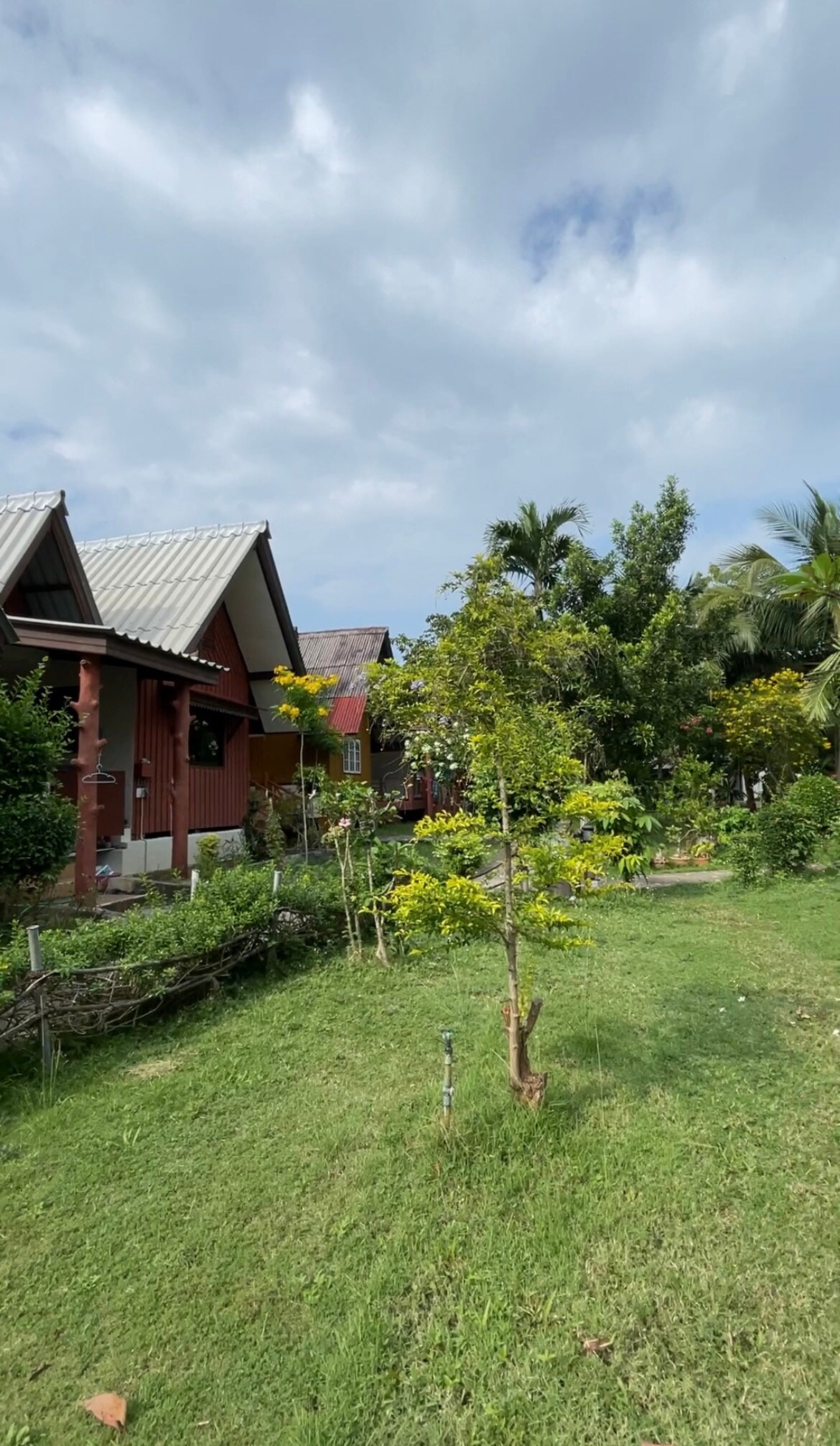 Homey Bungalow (3) @Lamai,Koh Samui