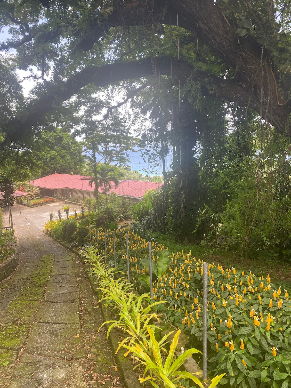 Samaan Estate - Garden View