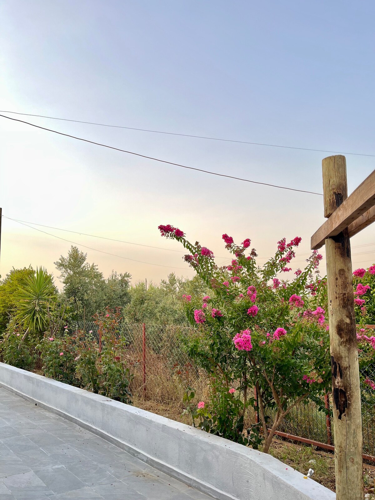 Zeytin Garden House Sweet Room