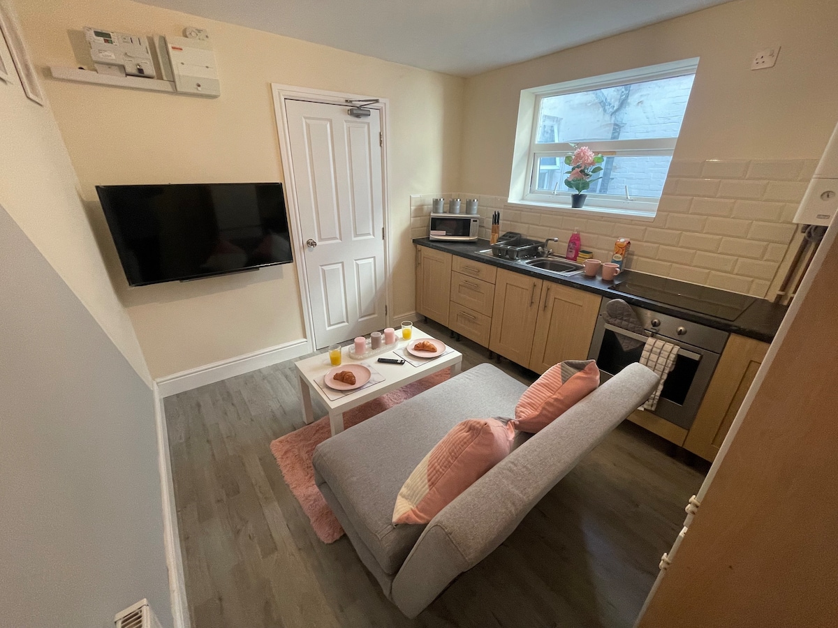 Modern Cozy 1 Bedroom Apartment