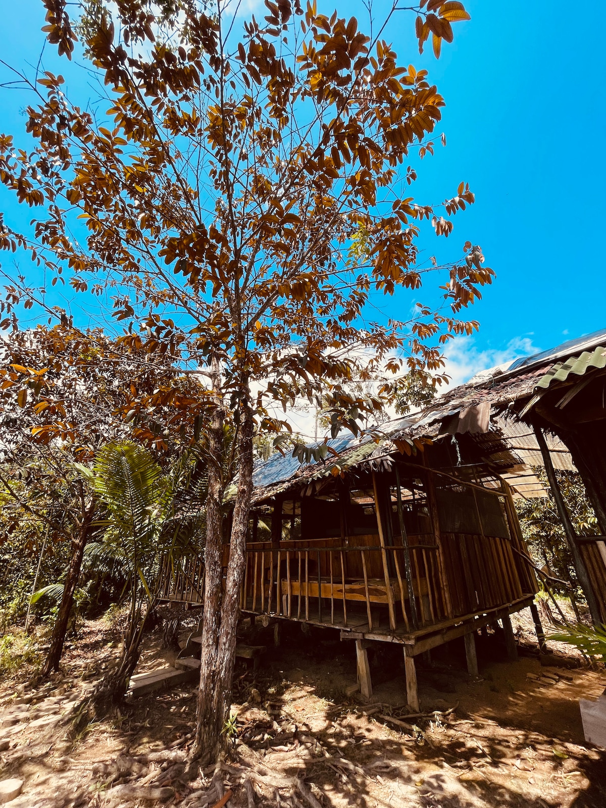 Cabaña todo incluido - Buenaventura