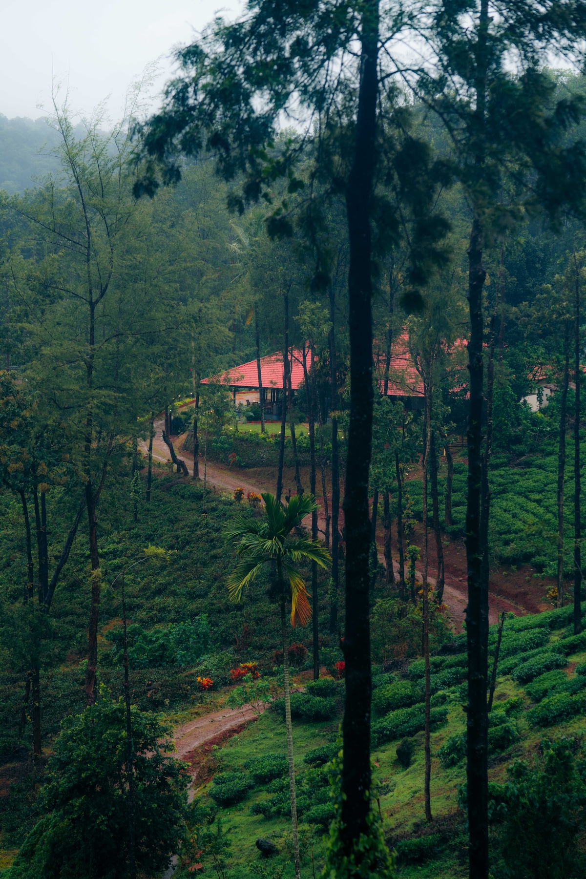 Villa Aroor - The Green Room