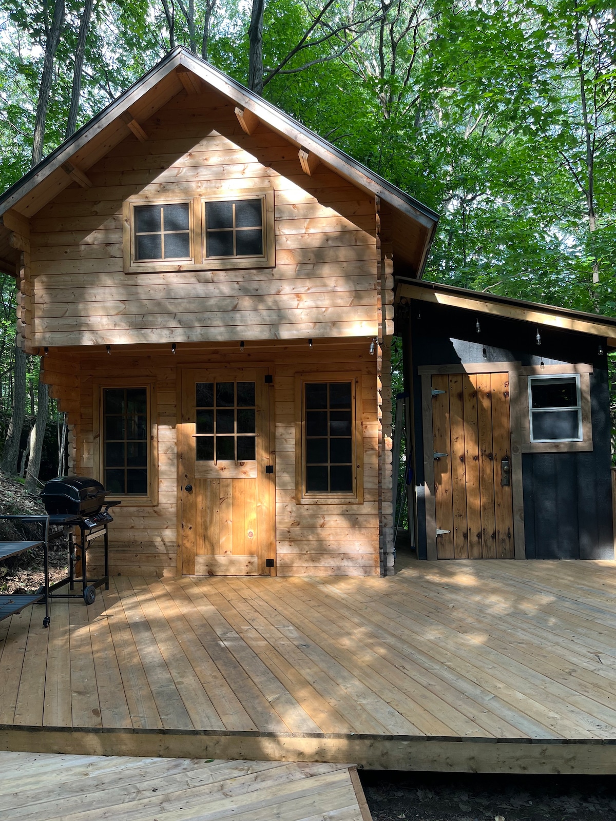 Magical bunkie in the woods!