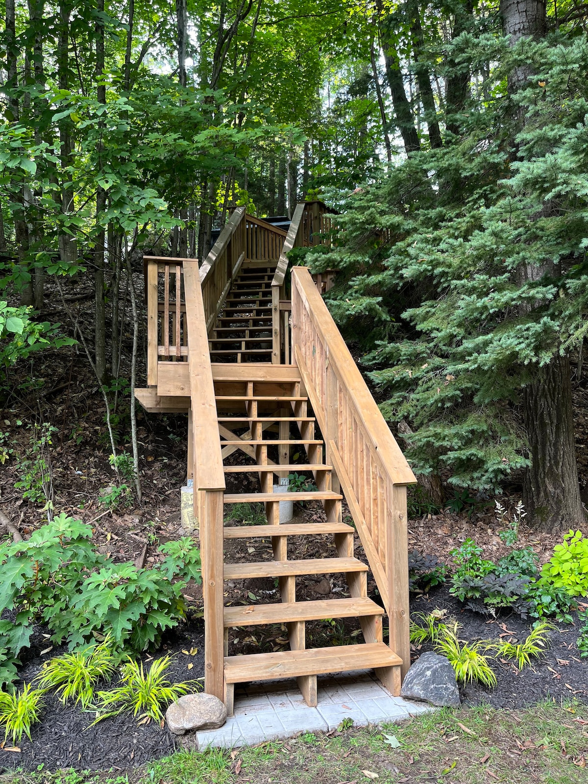 Magical bunkie in the woods!