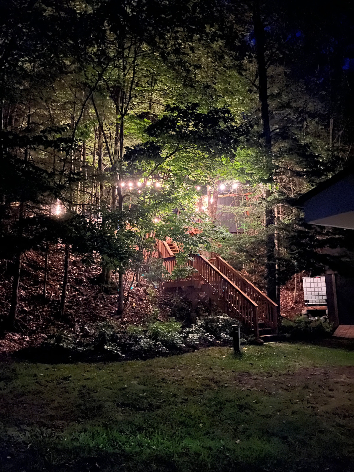 Magical bunkie in the woods!