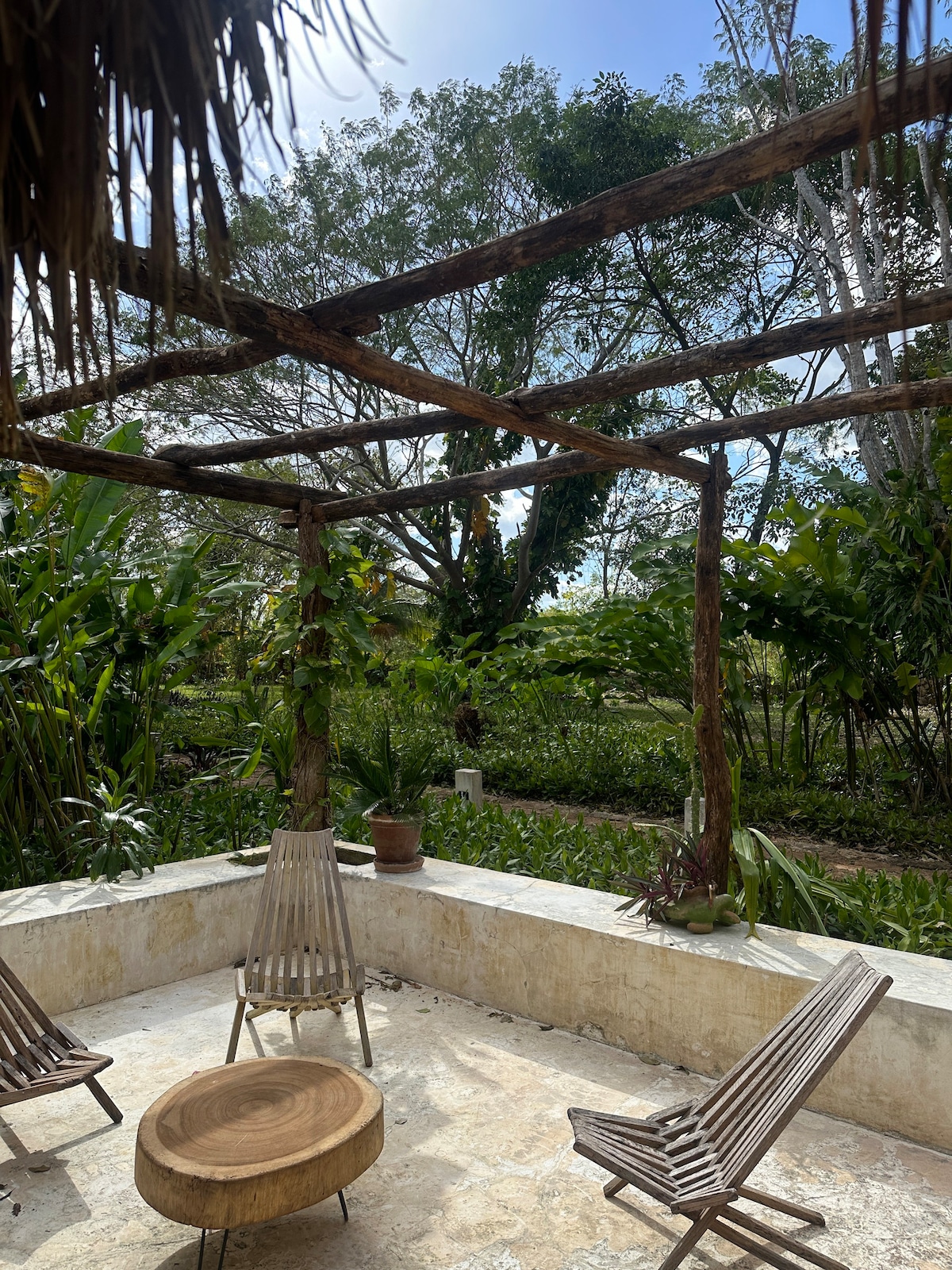 Hacienda Guesthouse with Private Cenote