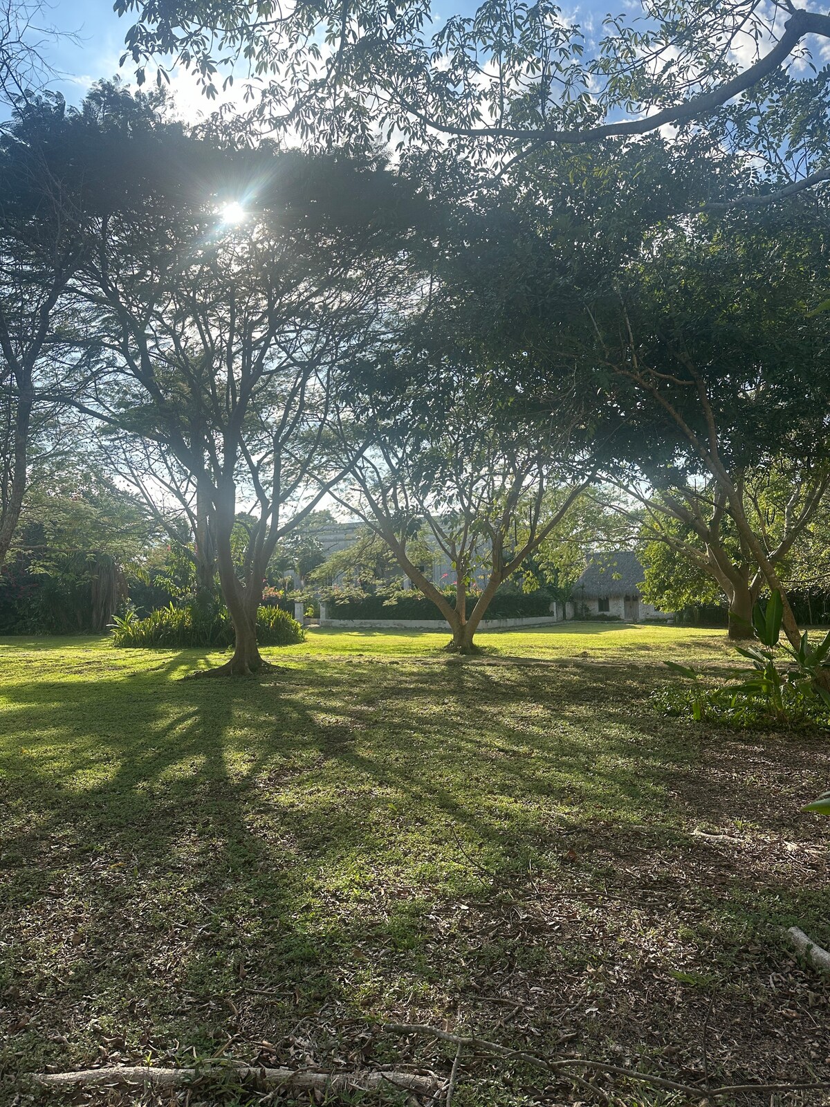 Hacienda Guesthouse with Private Cenote