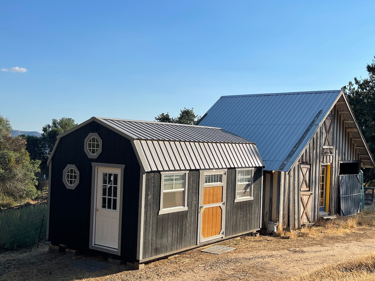 The Modern Cabin