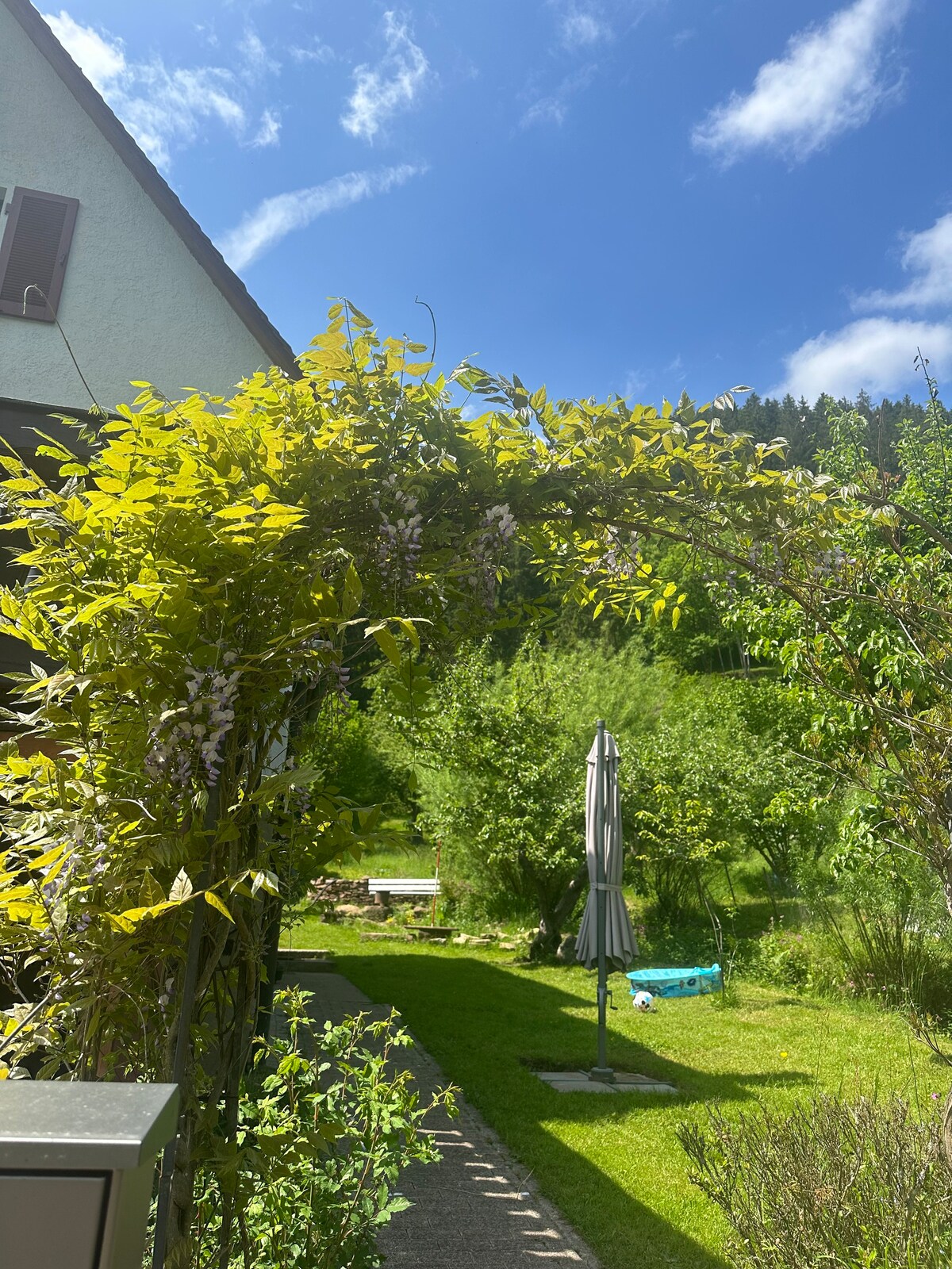 Apartment in the Natur-Park Schwarzwald