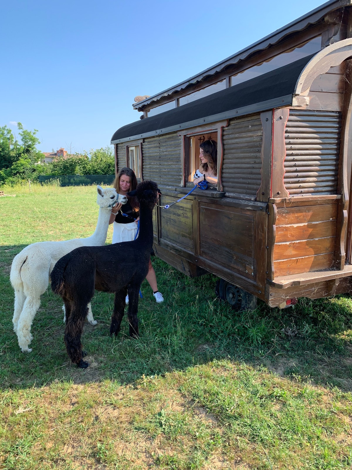 Glamping nella carovana gipsy