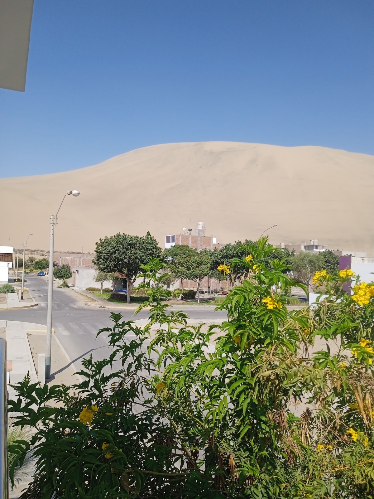 Bonita vista a las dunas