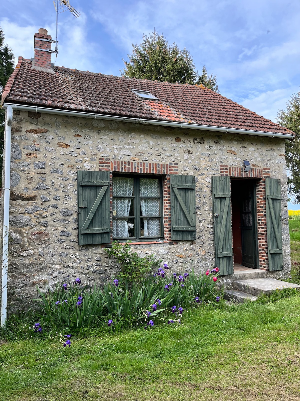 La petite maison du séquoia