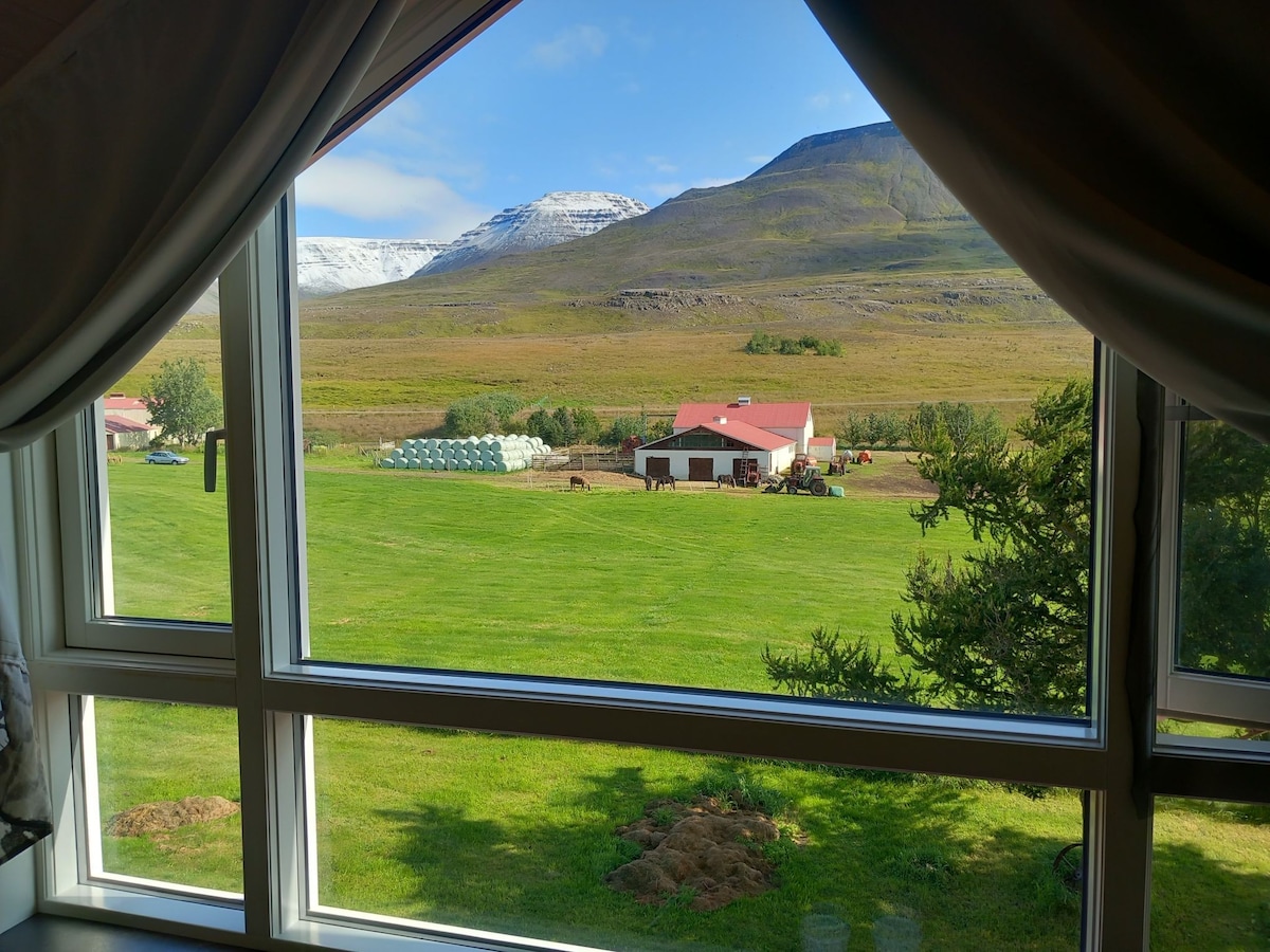 Frostastaðir -景观单间公寓