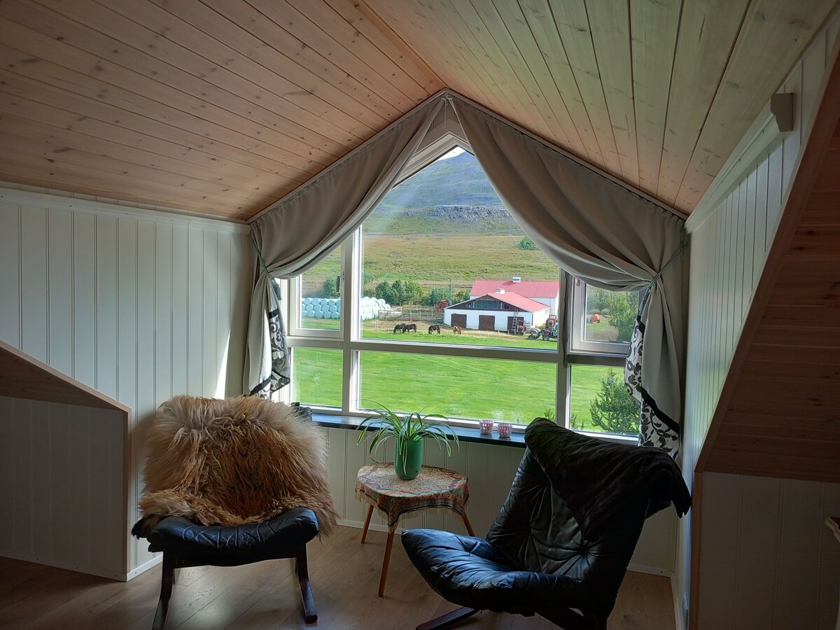 Frostastaðir -景观单间公寓