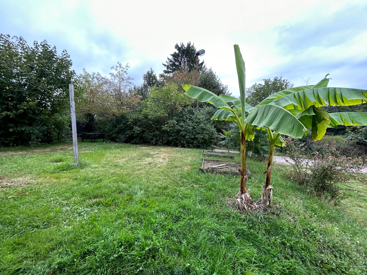 Petite maison douillette Pourrain