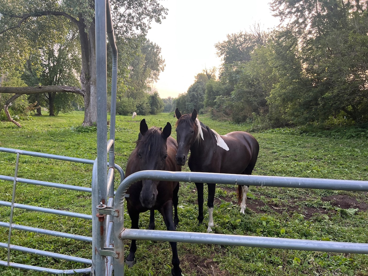 Horse farm with Miller beach parking.