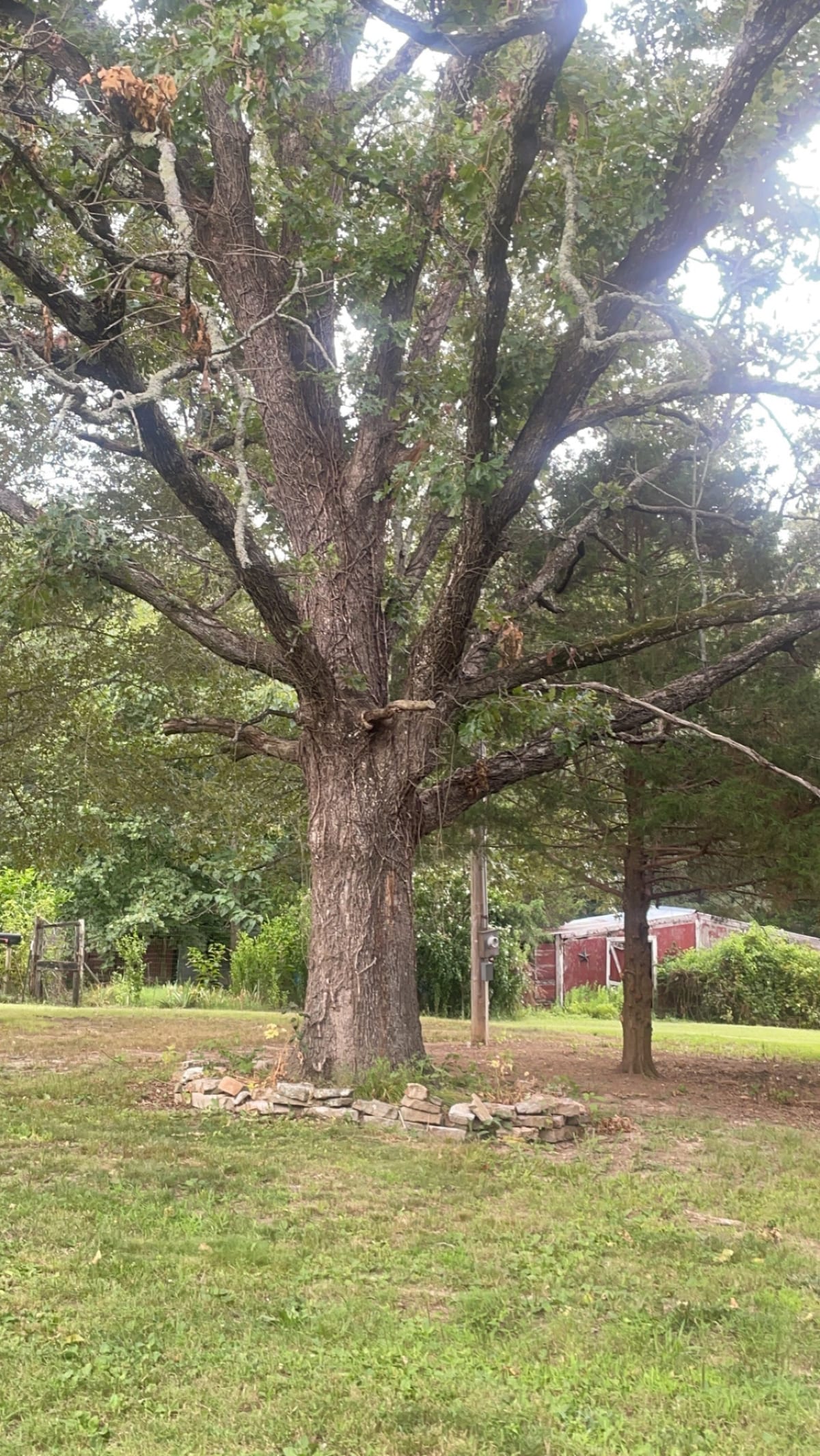 Cedar Ridge Cottage and Farm in Alton Mo.