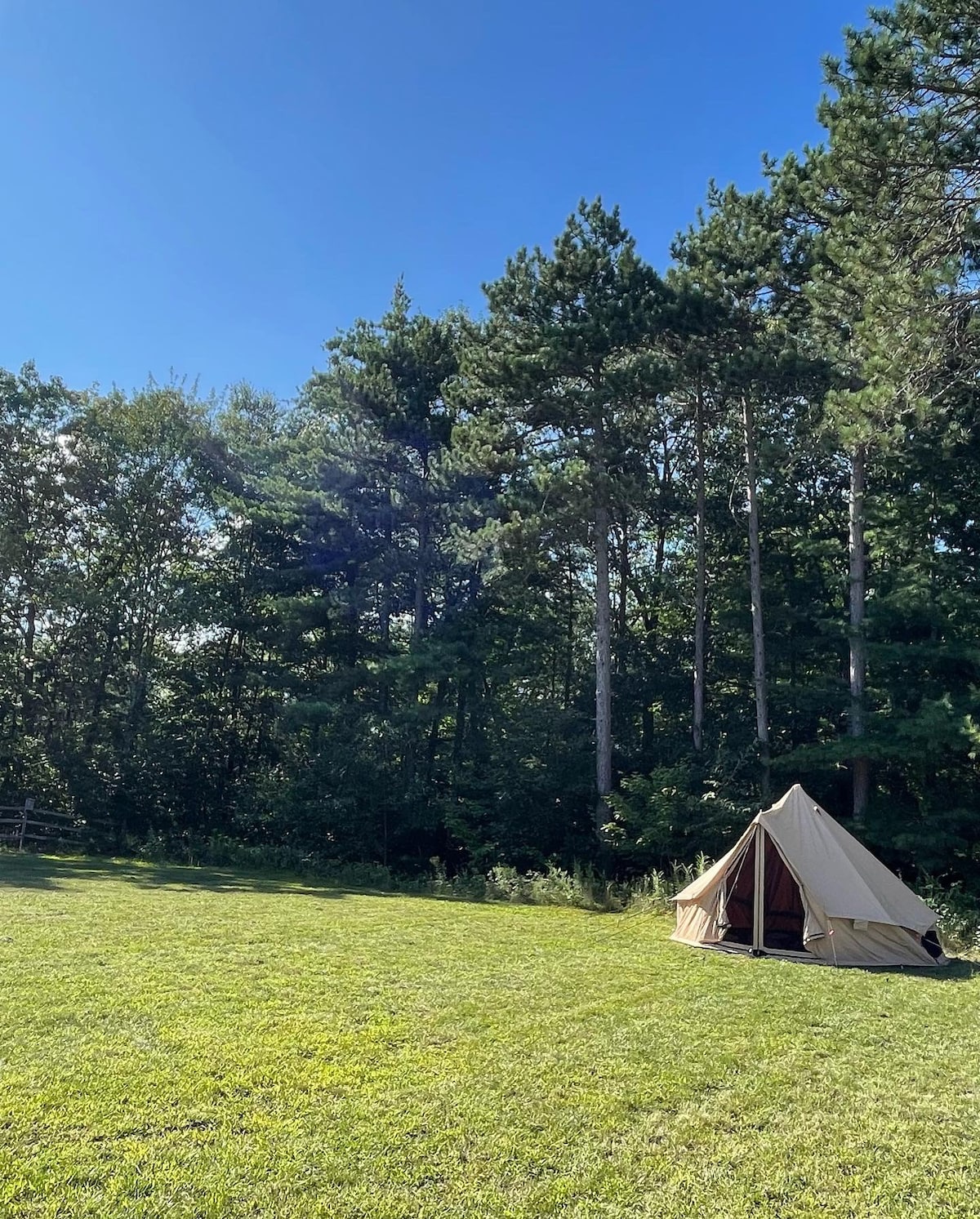 Bell Tent on Working NH Horse Farm and Stargazing